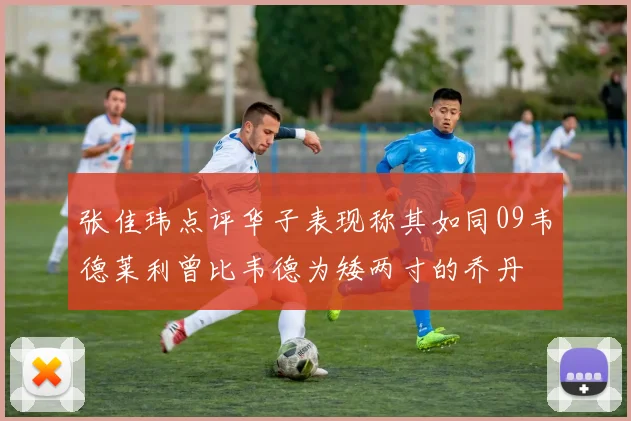 张佳玮点评华子表现称其如同09韦德莱利曾比韦德为矮两寸的乔丹